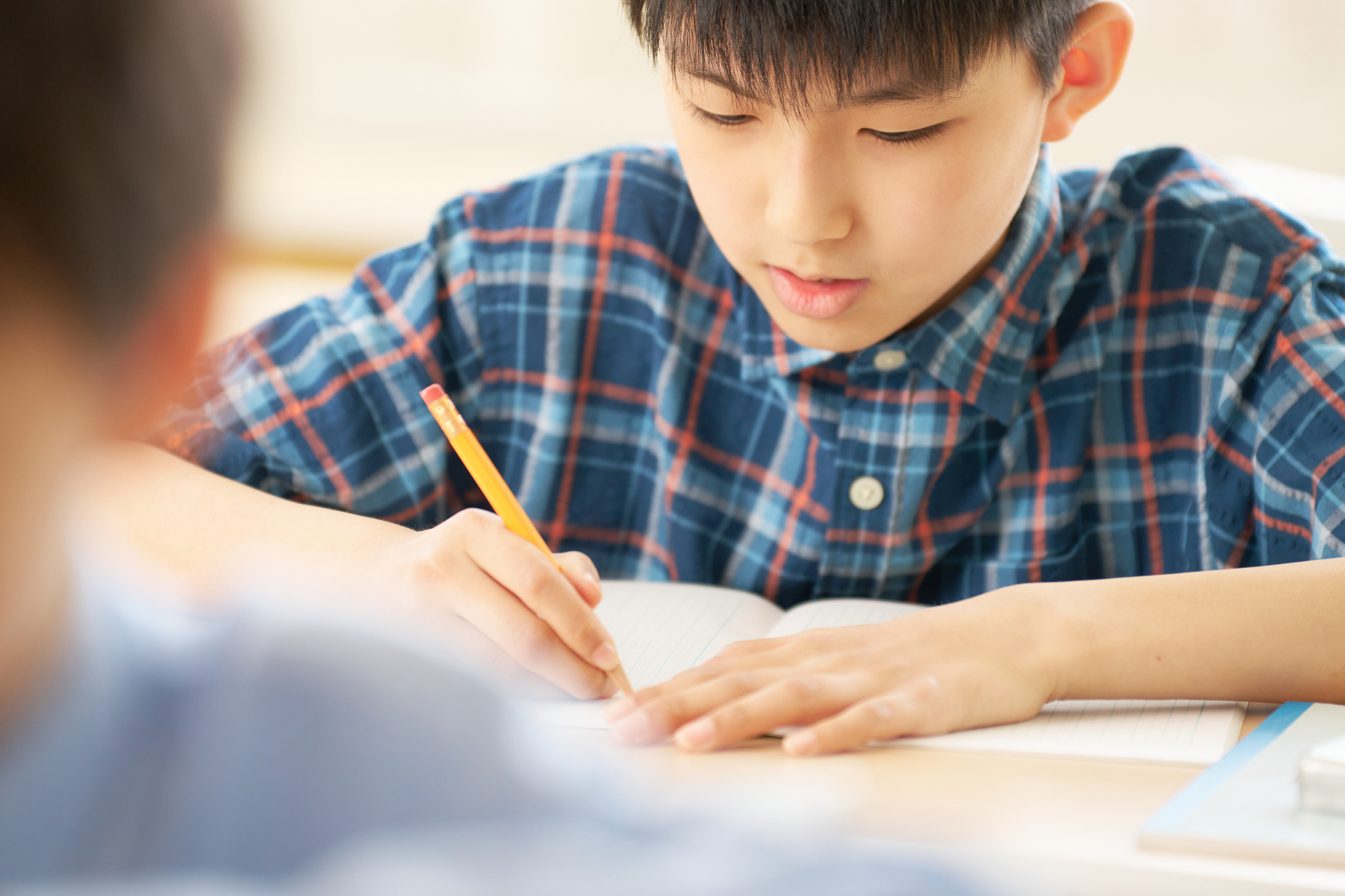 マレディの無料体験